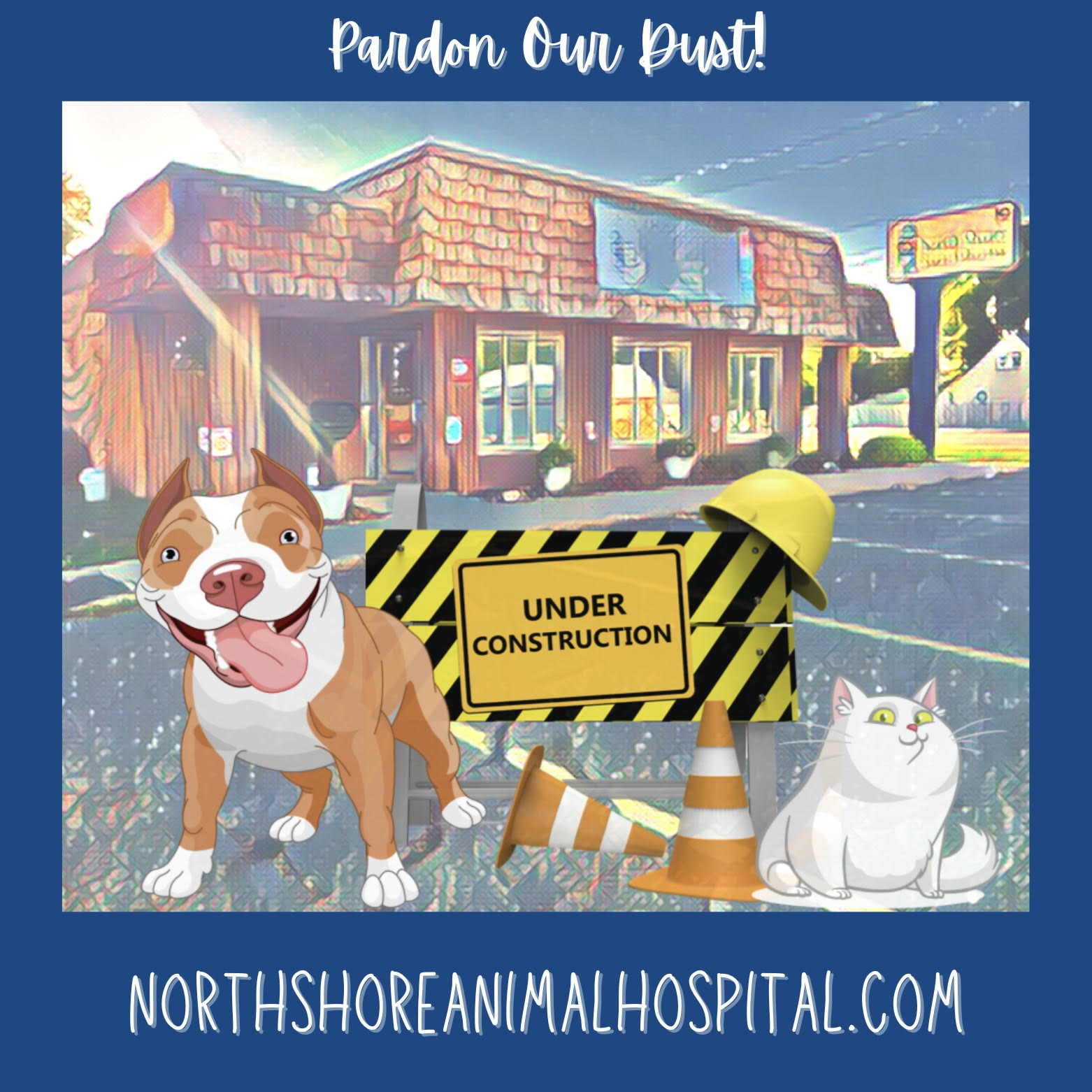 North Shore Animal Hospital - Veterinarian In Racine, WI USA :: Home