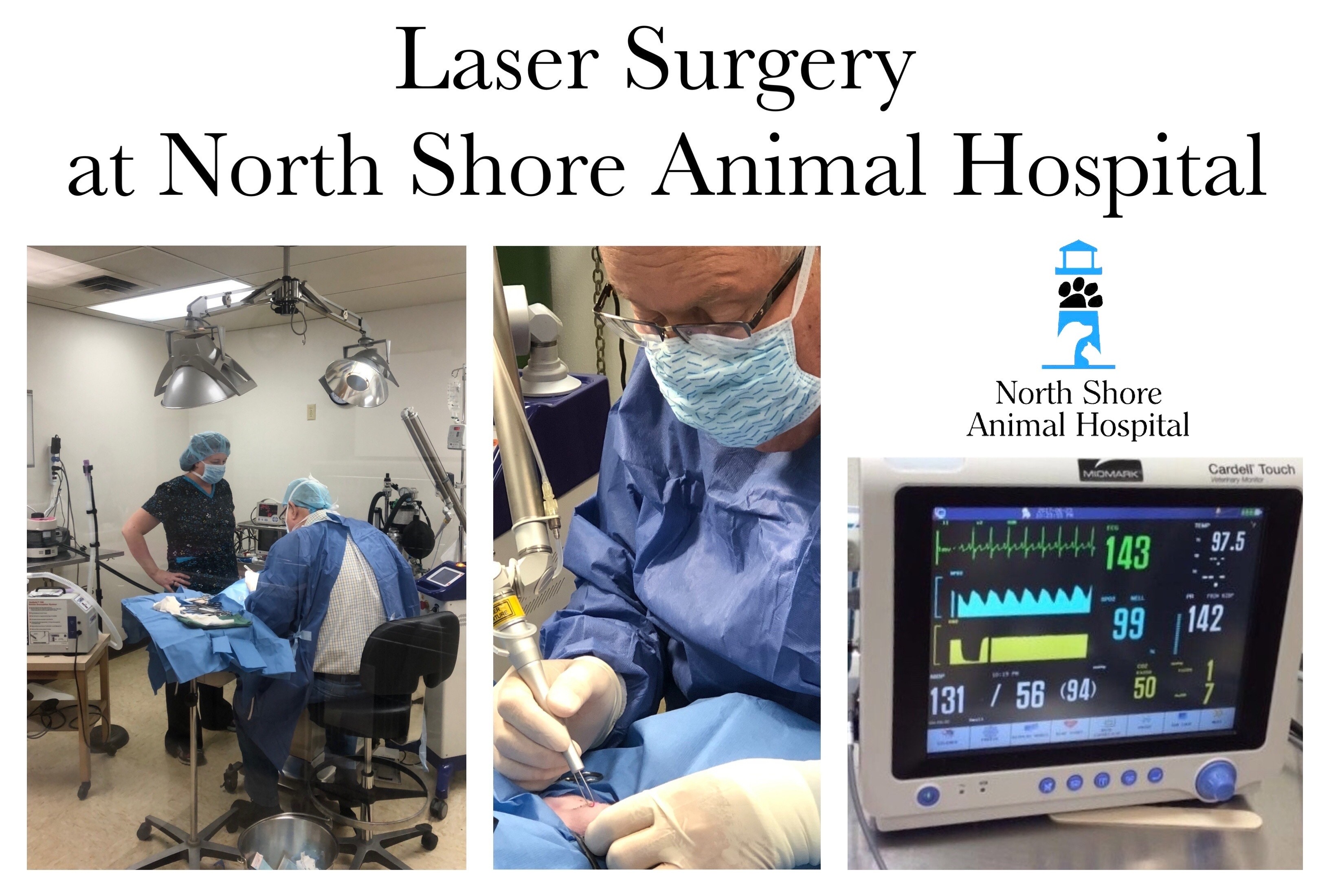 North Shore Animal Hospital Laser Surgery